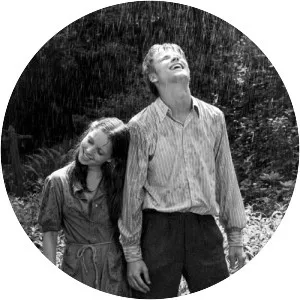 Love Between the Raindrops