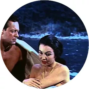 Love Is a ManySplendored Thing