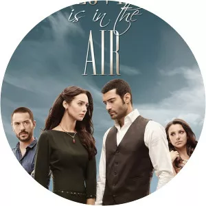 Love is in the Air2010 – 2013