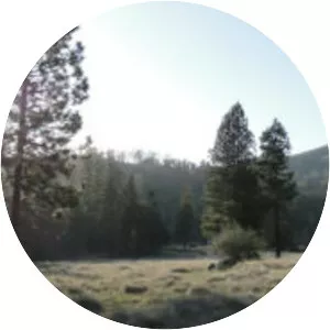 Lower Doane Valley - 