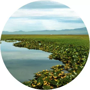 Lower Klamath Lake - Lake in California