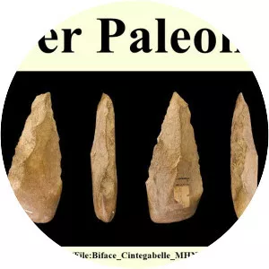 Lower Paleolithic - 
