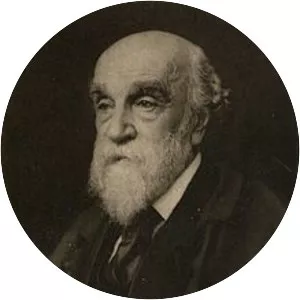 Lowes Cato Dickinson