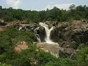 Lowveld Botanical Gardens