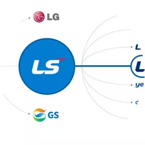 LS Group - Company