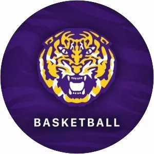 LSU Tigers men's basketball