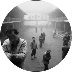 Lu Nan - Photographer