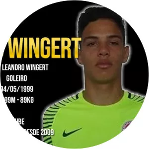 Lucas Leandro Wingert