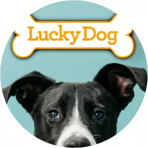 Lucky Dog - Play by Leo Butler