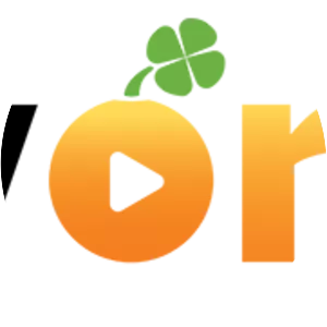 Lucky Orange LLC - Company