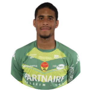 Ludovic le Pennec - Football player