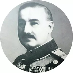 Ludovic Mircescu - Politician