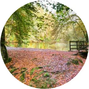 Ludshott Common and Waggoners Wells - Pond in England