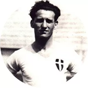 Luigi Allemandi