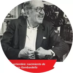 Luis Hierro Gambardella