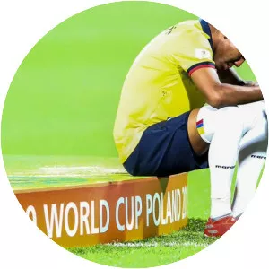 Luis Joel Estupiñán García