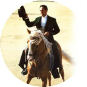 Luis Miguel Arranz - Stunt performer