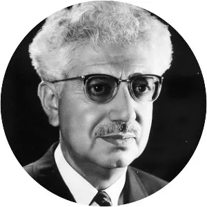 Luis Sandi - Musician