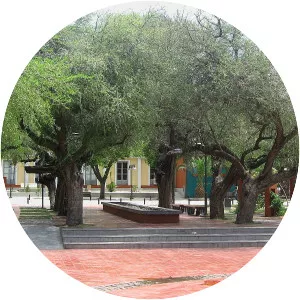 Luján de Cuyo - City in Argentina