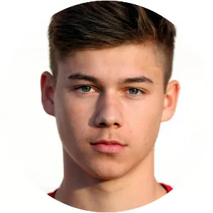 Lukas Malicsek - Austrian football player