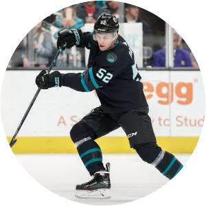 Lukáš Radil - Ice hockey player