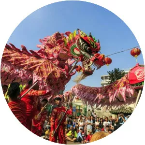 Lunar New Year - Holiday