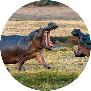 LuontohetkiSince 2012 - TV program