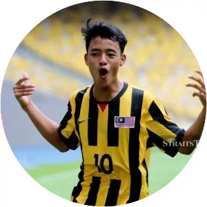 Luqman Hakim Shamsudin - Football player