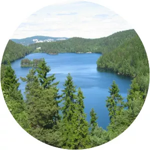 Lutvann