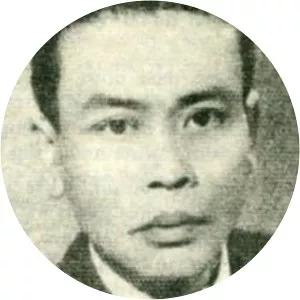 Lưu Bách Thụ - Musician