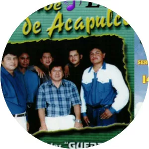 Luz Verde de Acapulco