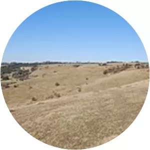 Lydden and Temple Ewell Downs - 