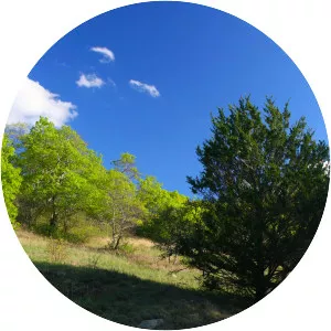 Lyndon B Johnson National Grassland