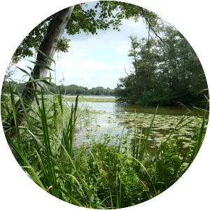 Lyngby Lake - Lake in Denmark