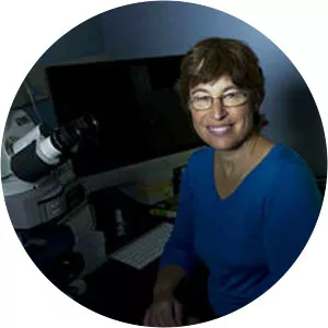 Lynn J. Rothschild - Biologist