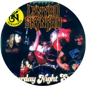 lynyrd skynyrd saturday night special