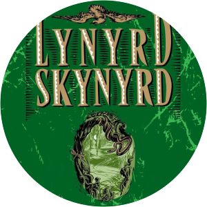 lynyrd skynyrd swamp music
