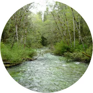 Lyre River - River in Washington