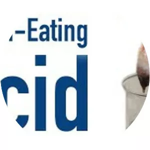 Lysergic acid diethylamide