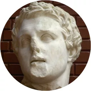 Lysimachus