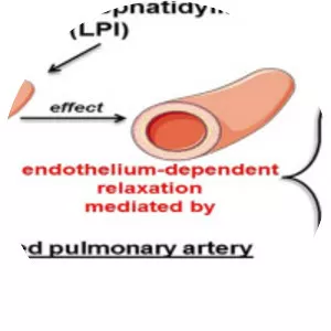 Lysophosphatidylinositol - 