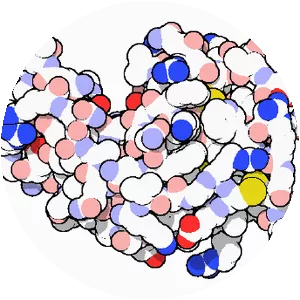 Lysozyme - 