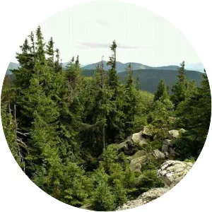 Lysyna Kosmatska Mountain