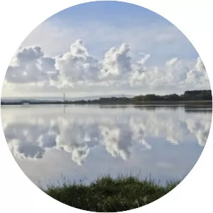Lytchett Bay - 