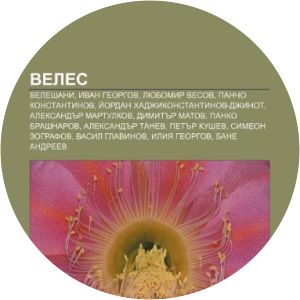 lyubomir vesov ilia vesov