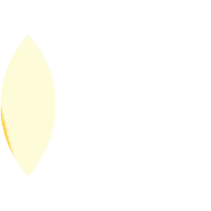 M2Eclipse