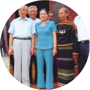 Nguyễn Mạnh Cầm - Politician