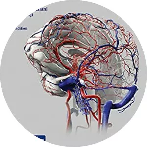 M. Yashar S. Kalani - 