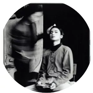 Ma Liuming - Chinese painter