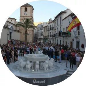 Macael